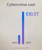 Cybercrime costs