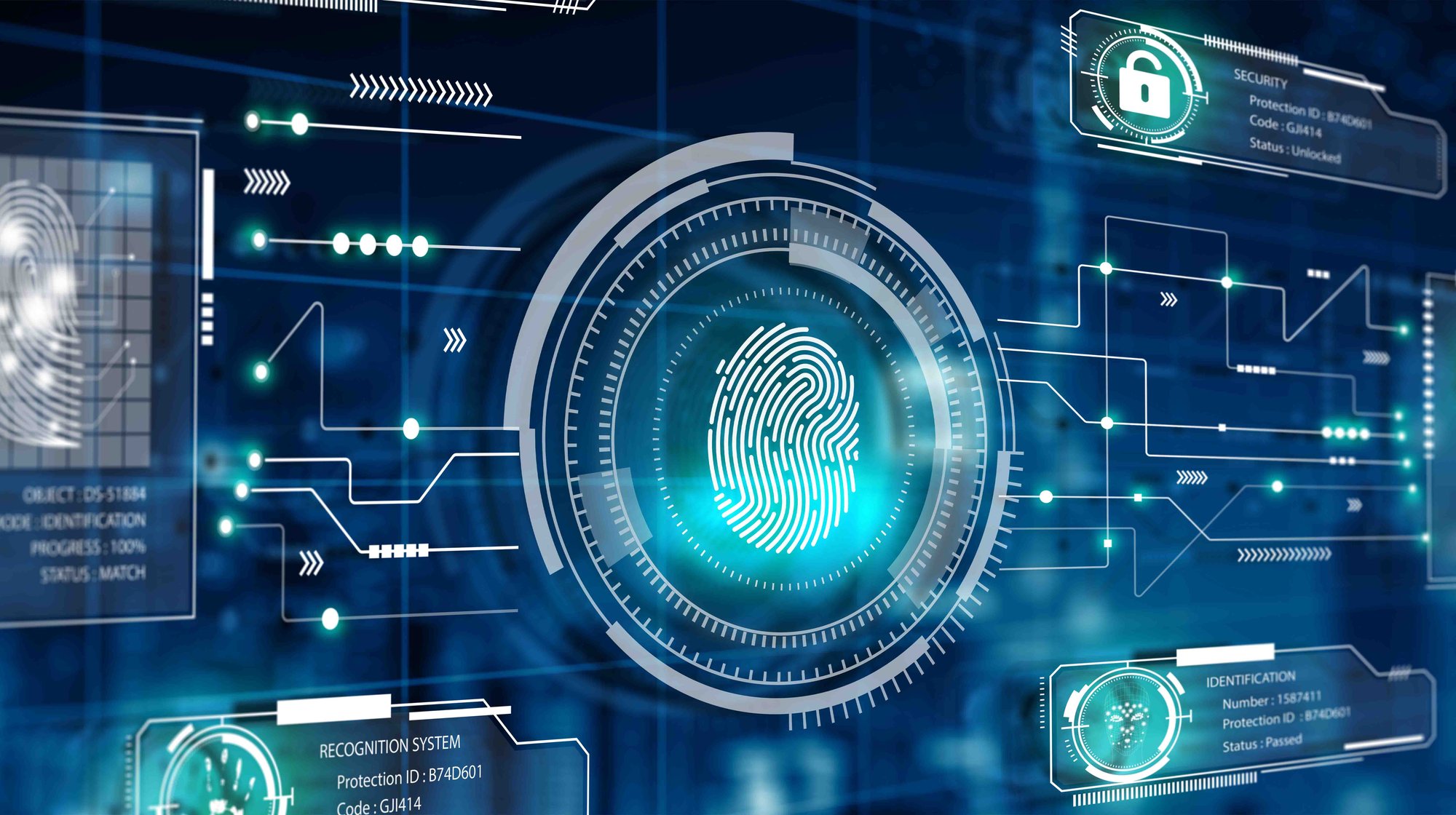 System and network scanning