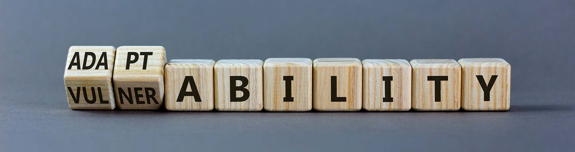 Vulnerability Management